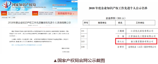 喜訊丨揚(yáng)力集團(tuán)總工程師仲太生榮獲“2018年度企業(yè)知識(shí)產(chǎn)權(quán)工作先進(jìn)個(gè)人”榮譽(yù)稱號(hào)！